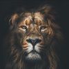 djturner96